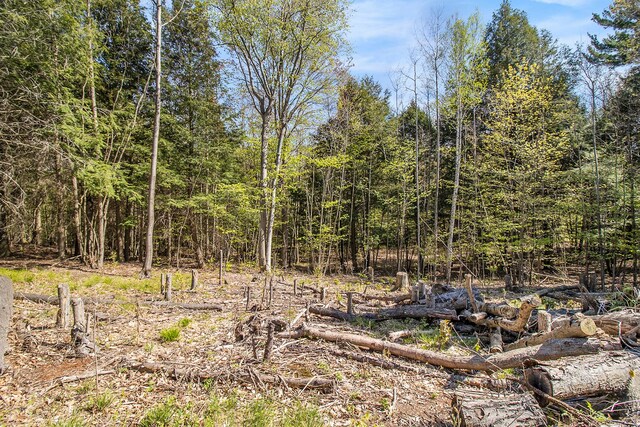 0000 Smith Rd, Onekama, MI 49675