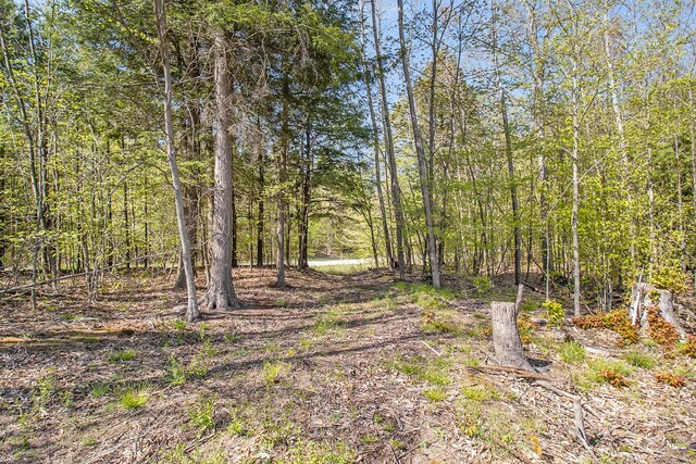 0000 Smith Rd, Onekama, MI 49675