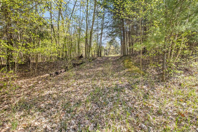 0000 Smith Rd, Onekama, MI 49675
