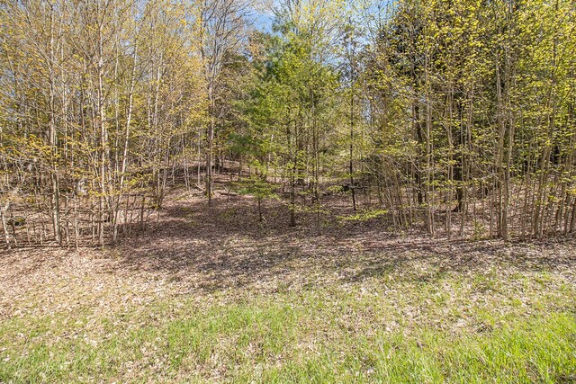 0000 Smith Rd, Onekama, MI 49675