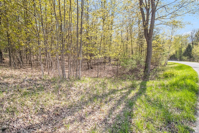 0000 Smith Rd, Onekama, MI 49675