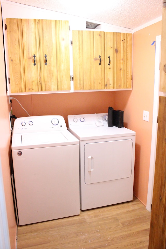 392 Hunters Rill, Oxford, MI 48371 - clothes washing area featuring cabinet space, washing machine and dryer, and light wood-style floors