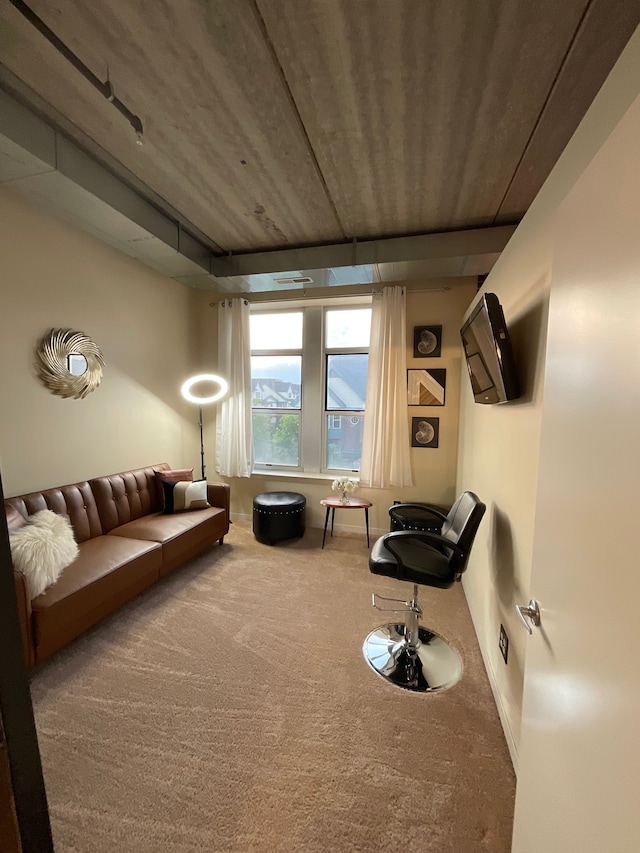 66 Winder St Unit 325, Detroit, MI 48201 - living area featuring carpet floors