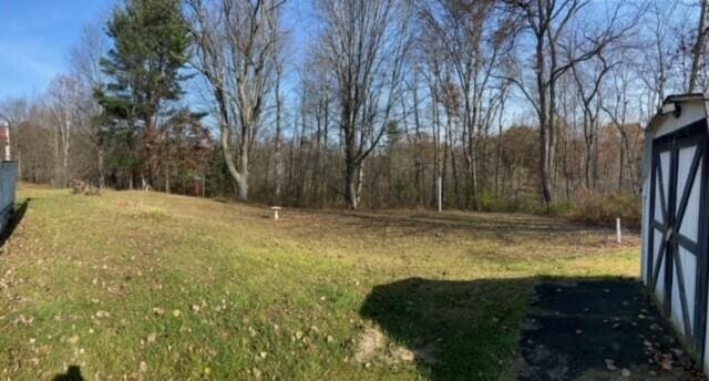 view of grassy yard