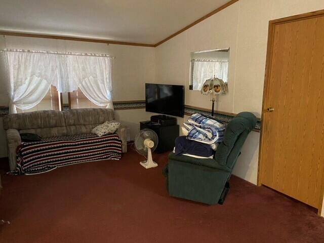 living room featuring lofted ceiling, ornamental molding, and carpet