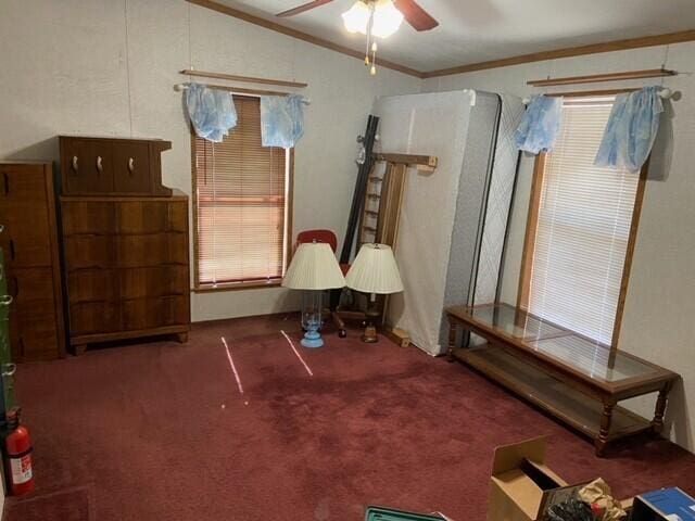 carpeted bedroom with crown molding