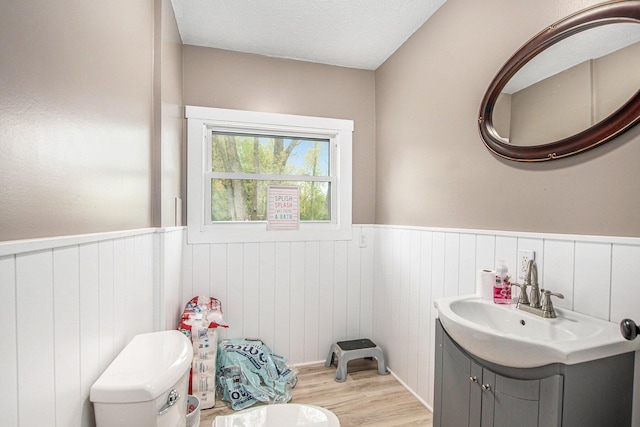 557 W James St, Lawrence, MI 49064 - half bath featuring wood finished floors, wainscoting, vanity, and a textured ceiling