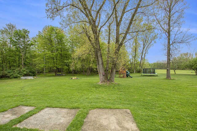 557 W James St, Lawrence, MI 49064 - view of grassy yard with a trampoline and a playground