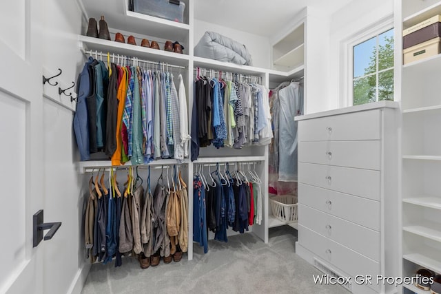631 Greenslate Dr SE, Ada, MI 49301 - spacious closet featuring carpet