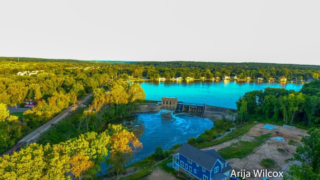 631 Greenslate Dr SE, Ada, MI 49301 - bird's eye view of a forest and a large body of water