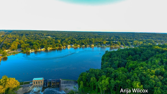 631 Greenslate Dr SE, Ada, MI 49301 - bird's eye view of a forest and a nearby body of water