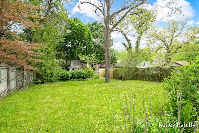view of yard