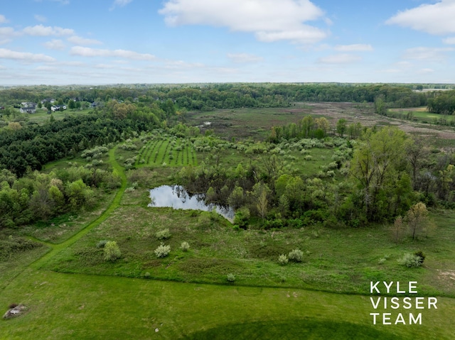 11650 Lally St NE, Lowell, MI 49331 - view of property location with a large body of water
