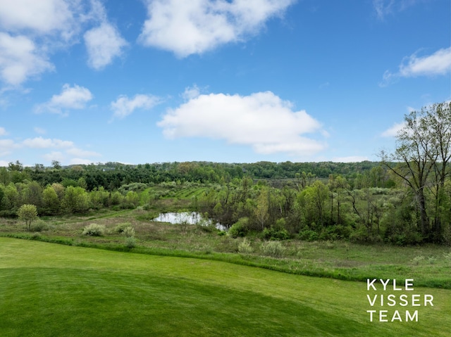 11650 Lally St NE, Lowell, MI 49331 - view of grassy yard featuring a wooded view, a water view, and golf course view