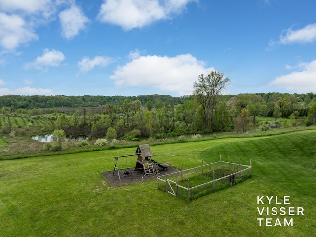 11650 Lally St NE, Lowell, MI 49331 - view of green lawn with a forest view