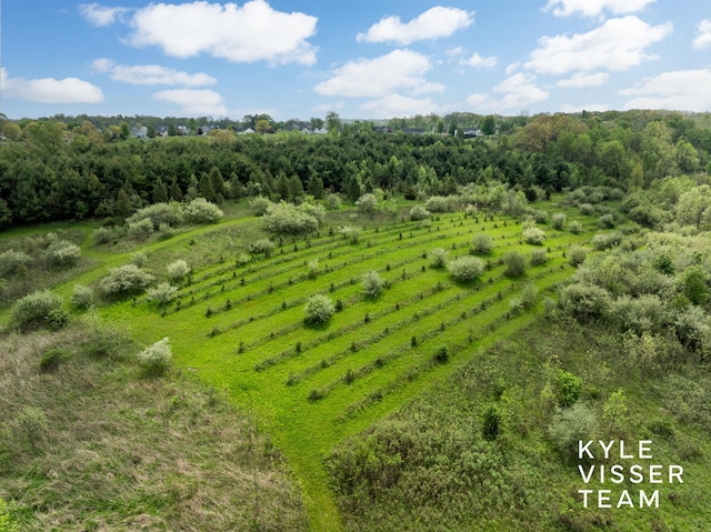 11650 Lally St NE, Lowell, MI 49331 - overview of rural landscape