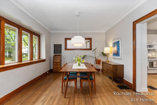 dining room with a chandelier, wood finished floors, baseboards, and crown molding