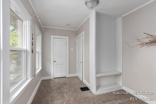 mudroom with carpet flooring, baseboards, and ornamental molding