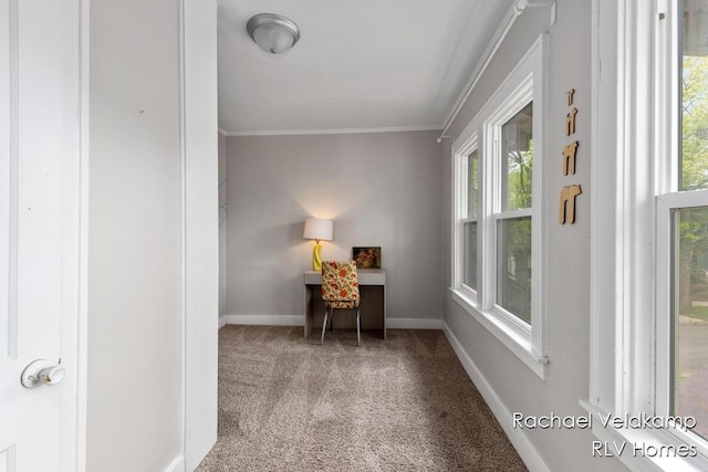 living area with carpet flooring, plenty of natural light, ornamental molding, and baseboards