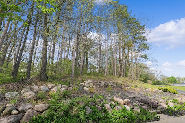 12700 Mcpherson St NE, Lowell, MI 49331 - view of yard