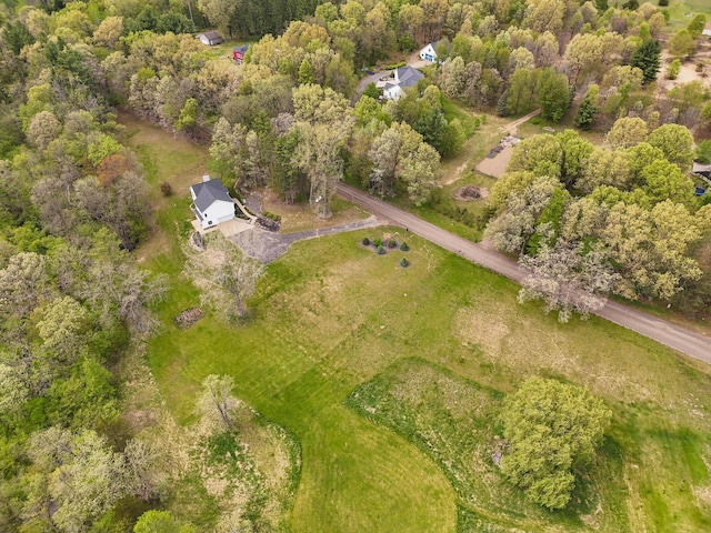 12700 Mcpherson St NE, Lowell, MI 49331 - aerial view of property and surrounding area