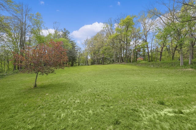 12700 Mcpherson St NE, Lowell, MI 49331 - view of green lawn