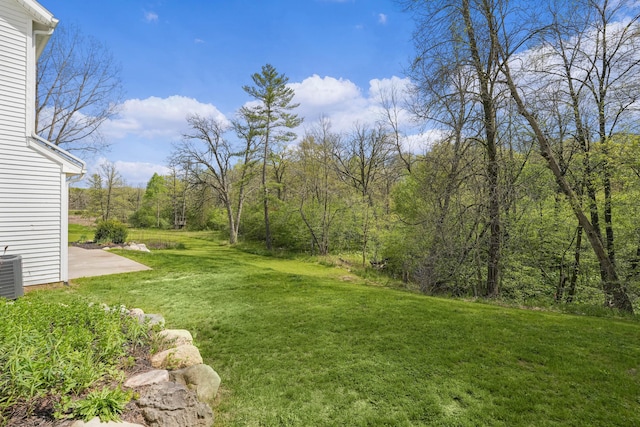 12700 Mcpherson St NE, Lowell, MI 49331 - view of green lawn with a forest view