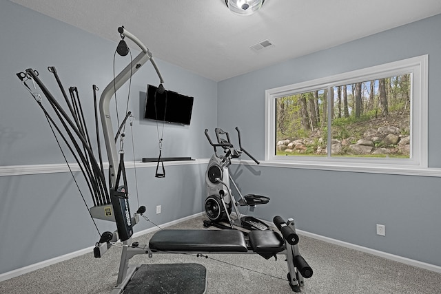 12700 Mcpherson St NE, Lowell, MI 49331 - exercise area featuring baseboards and carpet
