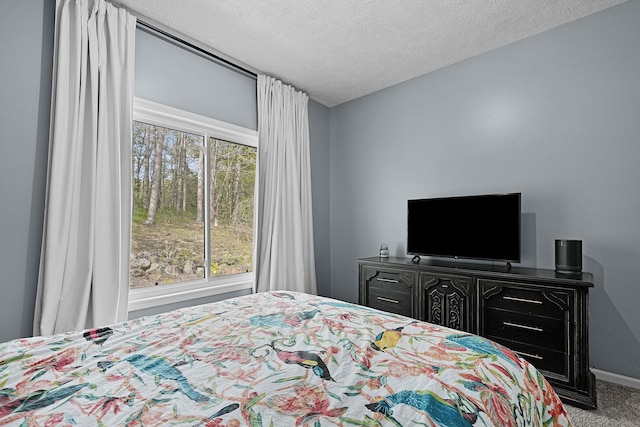 12700 Mcpherson St NE, Lowell, MI 49331 - bedroom with carpet, a textured ceiling, and baseboards
