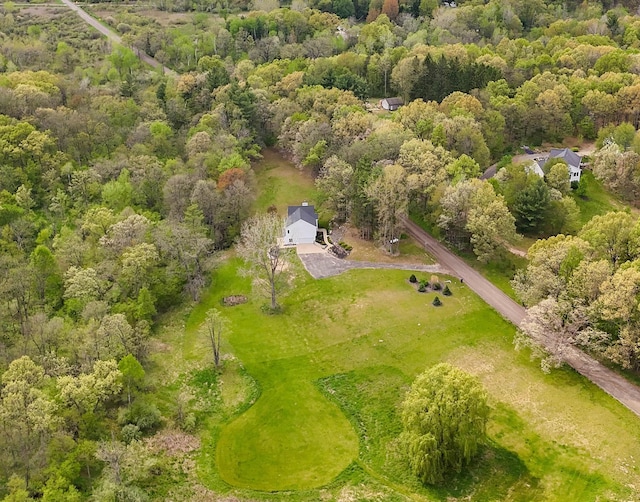 12700 Mcpherson St NE, Lowell, MI 49331 - aerial overview of property's location with a heavily wooded area