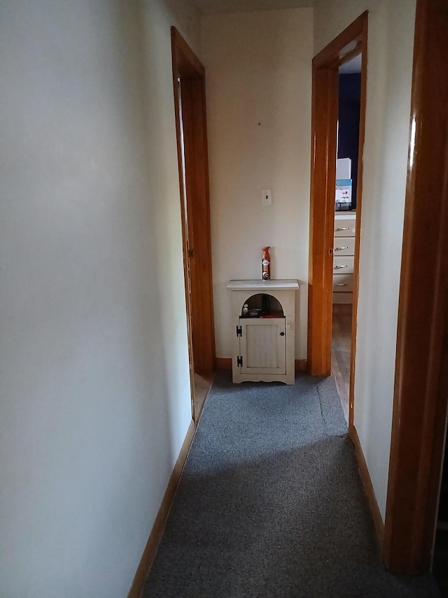 317 Country Club Ter, Battle Creek, MI 49015 - hallway with carpet floors