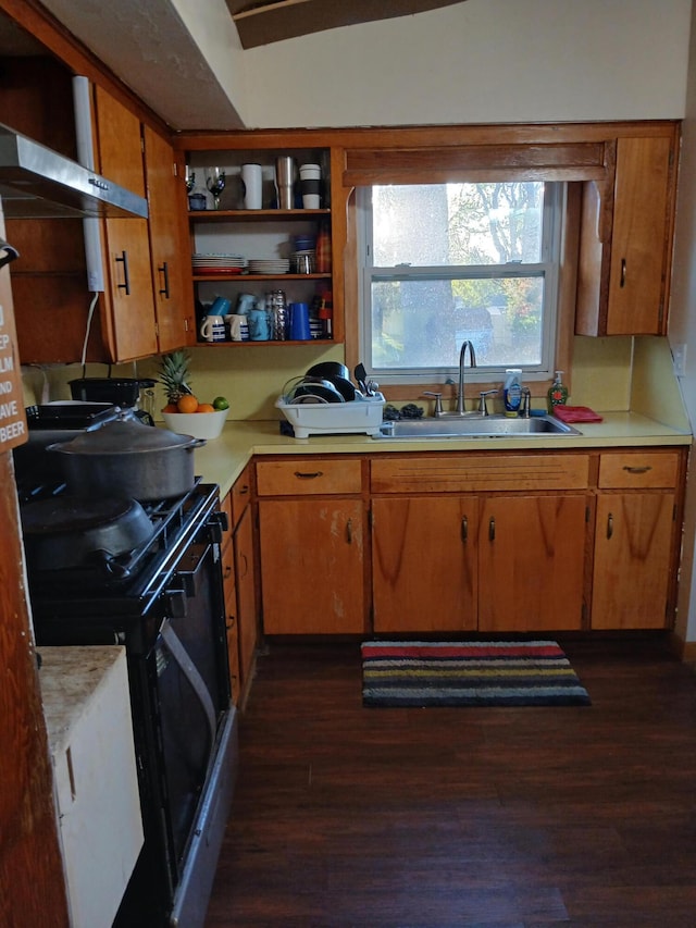 317 Country Club Ter, Battle Creek, MI 49015 - kitchen with gas stove, light countertops, dark wood-type flooring, a sink, and open shelves
