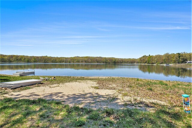 3957 Cleveland Dr W, Bitely, MI 49309 - water view featuring a forest