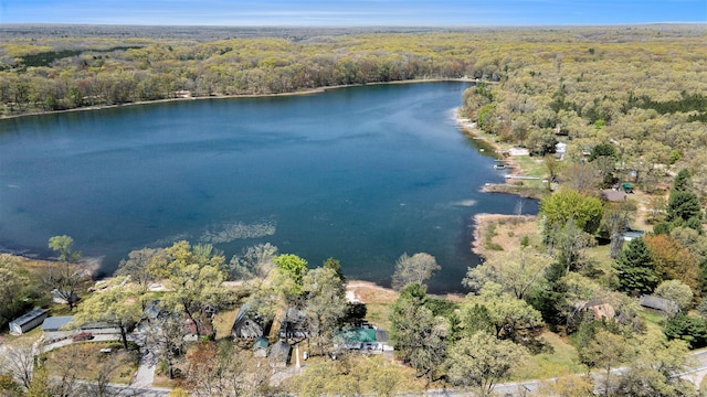 3957 Cleveland Dr W, Bitely, MI 49309 - aerial overview of property's location with a forest and a large body of water