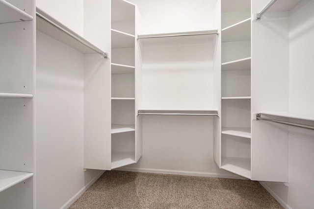 14275 Sunset Ridge Ct, Niles, MI 49120 - walk in closet with carpet
