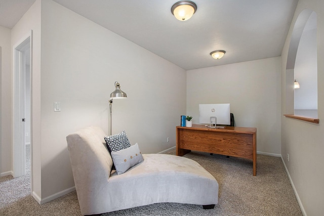 14275 Sunset Ridge Ct, Niles, MI 49120 - living area with carpet floors, baseboards, and arched walkways