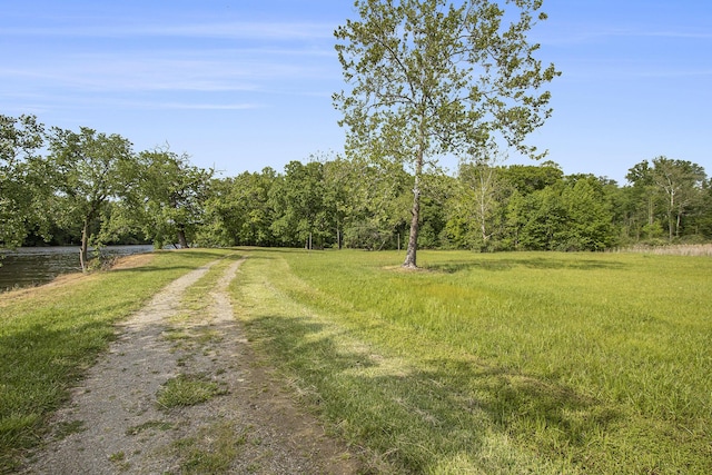 14275 Sunset Ridge Ct, Niles, MI 49120 - view of yard with a wooded view and a water view
