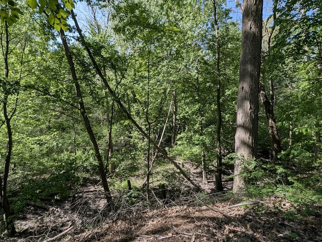 617 W High St, Bangor, MI 49013 - photo 26