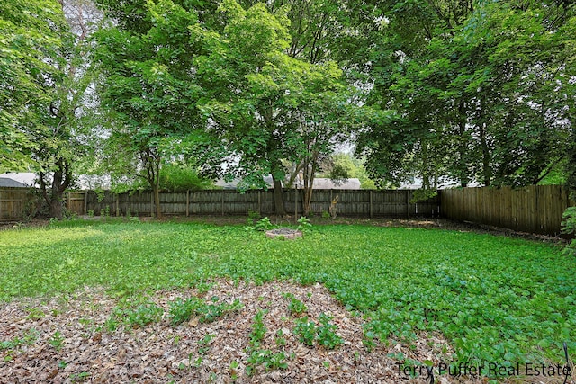 3904 Canterbury Ave, Kalamazoo, MI 49006 - view of yard