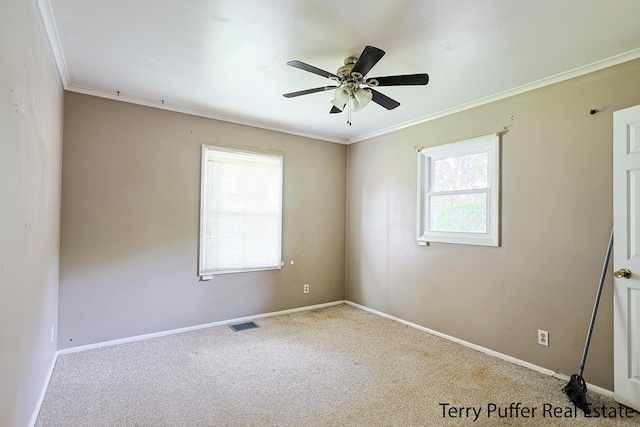 3904 Canterbury Ave, Kalamazoo, MI 49006 - spare room with ornamental molding, carpet floors, a ceiling fan, and baseboards