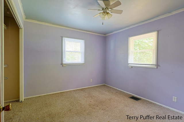 3904 Canterbury Ave, Kalamazoo, MI 49006 - carpeted spare room featuring crown molding, baseboards, and ceiling fan