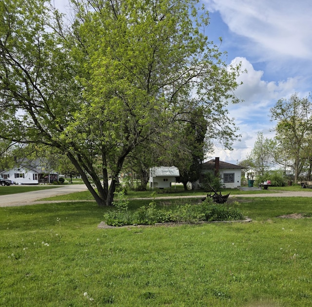 120 2nd St, Ionia, MI 48846 - view of grassy yard