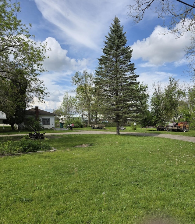 120 2nd St, Ionia, MI 48846 - view of grassy yard