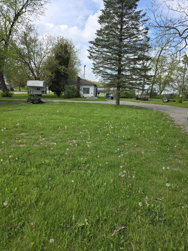 120 2nd St, Ionia, MI 48846 - view of yard