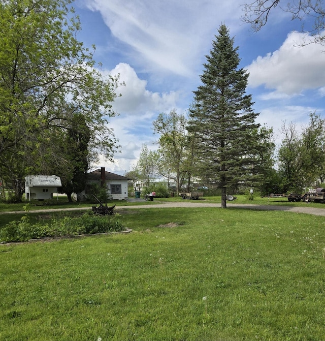 120 2nd St, Ionia, MI 48846 - view of grassy yard