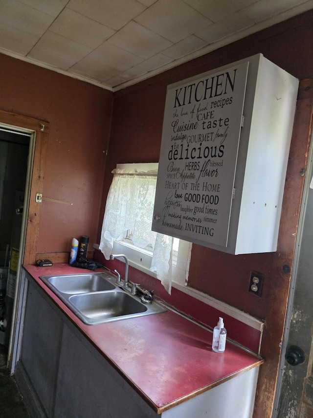 120 2nd St, Ionia, MI 48846 - kitchen featuring a sink