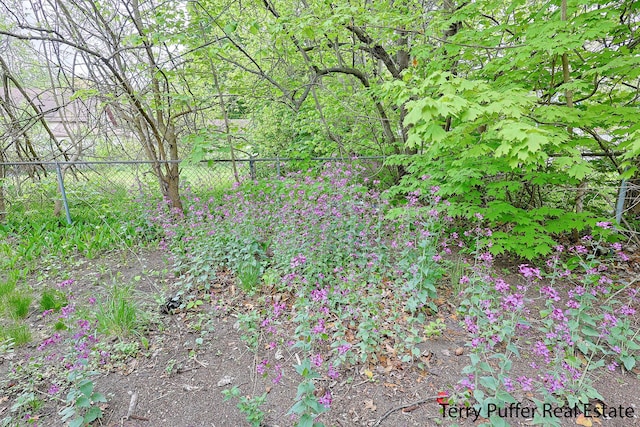 view of undeveloped land