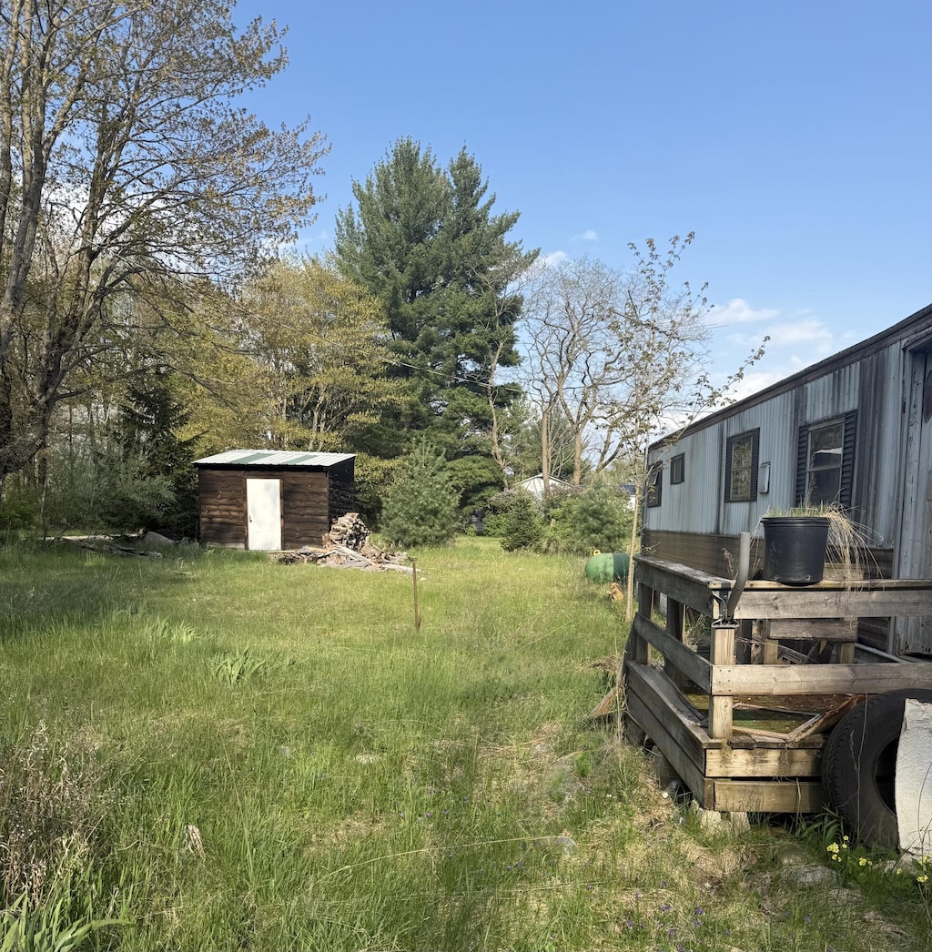 view of yard with an outbuilding and a storage unit