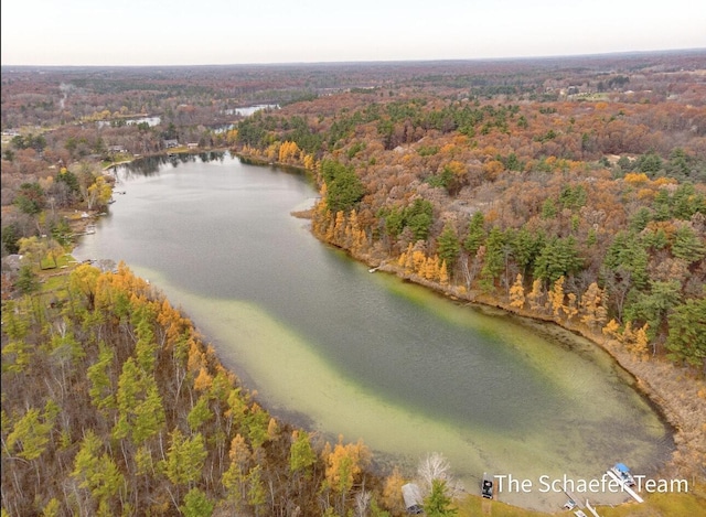 10436 Morgan Mills Ave NE, Greenville, MI 48838 - view of property location featuring a heavily wooded area and a nearby body of water