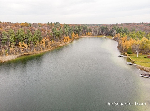 10436 Morgan Mills Ave NE, Greenville, MI 48838 - water view with a forest